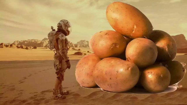 连好莱坞导演都相信,只要有土豆就可以在太空生活?