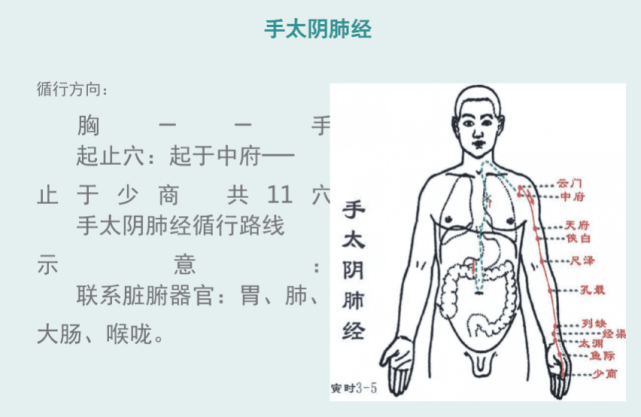 十二經絡手三陰手三陽足三陰足三陽的走向和位置