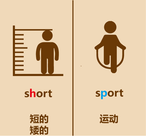 懒人英语简笔画sport