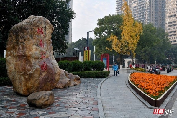 邵阳城南公园赏叶正当时