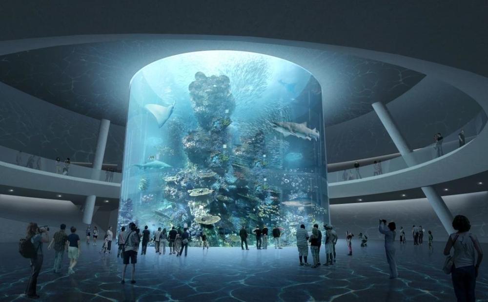 深圳新小梅沙海洋世界封顶