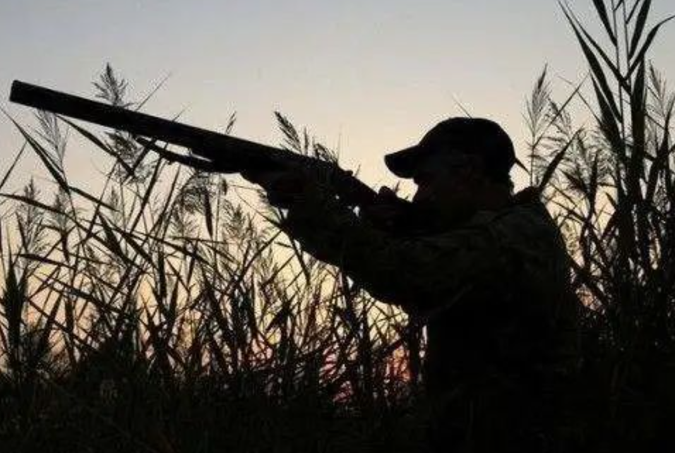 持枪上山狩猎保护动物被巡逻民警查获俩男子涉嫌多项罪名被起诉