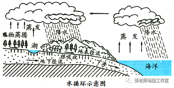 【思维模板】高考地理影响蒸发的因素,影响蒸腾的因素,水循环环节和