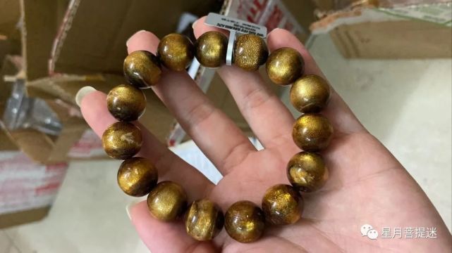 深海料海柳的独特品种石柳