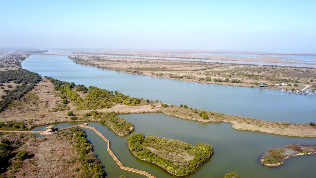 三角洲湿地生态系统修复工程,开展退耕还湿,退养还滩,推进河口湿地
