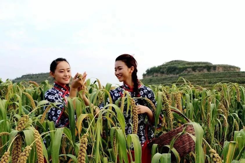 米脂小米粥又叫桃花水,因常年吃小米皮膚好,白白嫩嫩,滋潤出了米脂