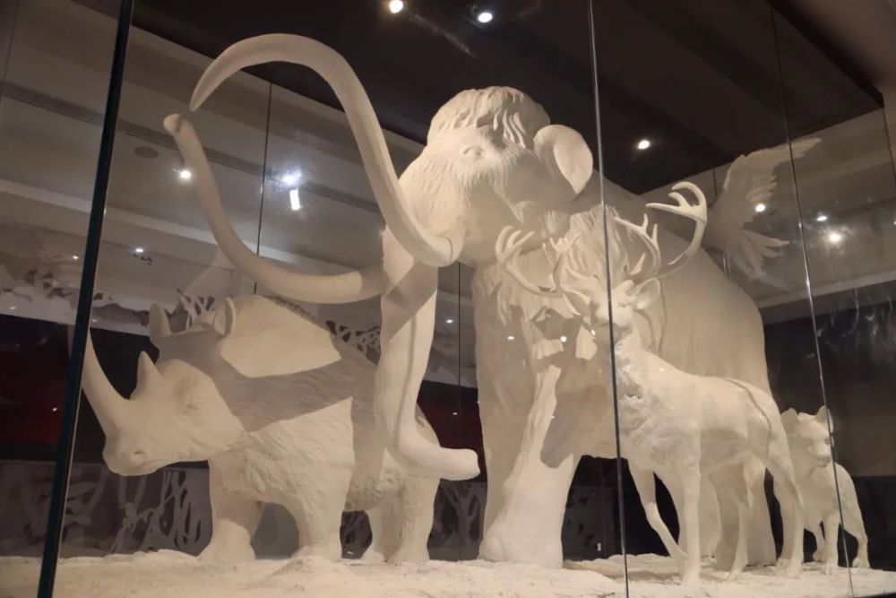 记者带你看四馆辽源市博物馆