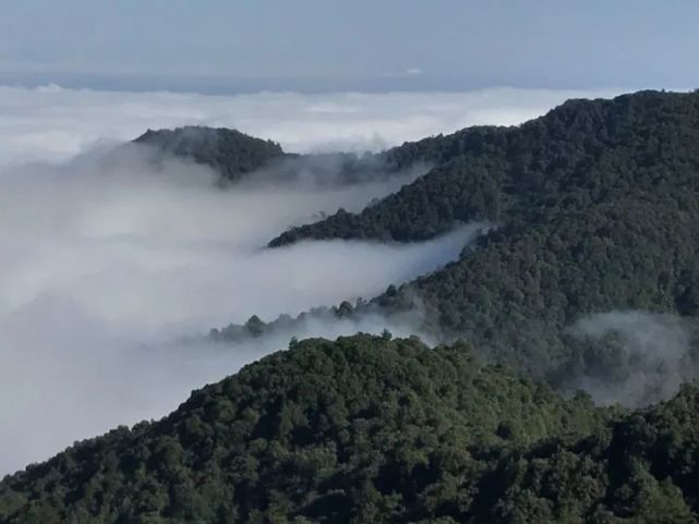 探秘哀牢山:越美丽,越危险