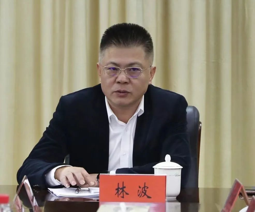 听取汇报后,集团党委书记,董事长兼总经理林波指出,各子公司落实"一岗