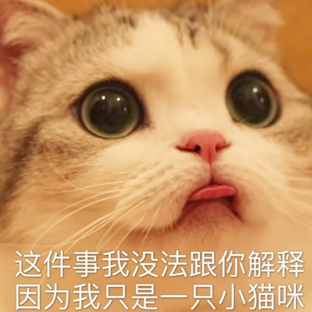 猫咪为啥老是挡我路是想绊倒我吗