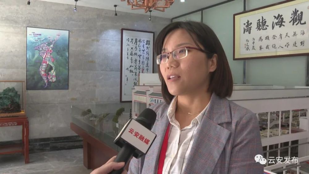 全国和省人大代表到云安区视察镇域经济发展情况