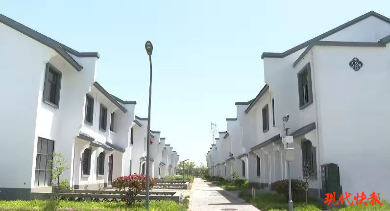 盐都区大冈镇迈开共同富裕新步伐