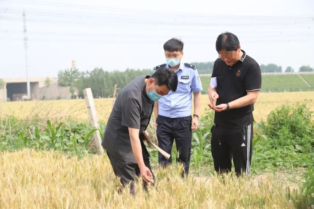 1.52億美元，威馬汽車D2輪融資順利啟動百詞斬歐陽丹
