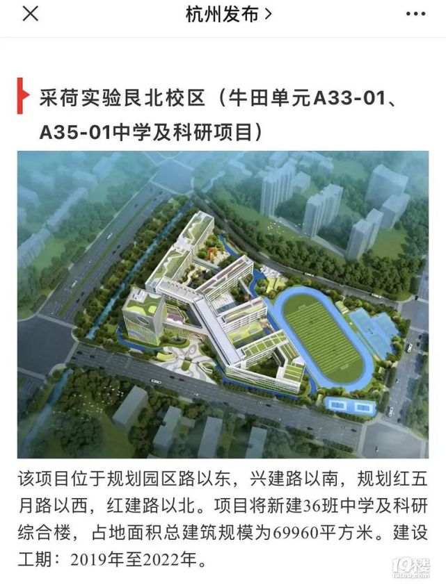 杭州|公办学校|上城区教育局|民办学校|采荷|初中