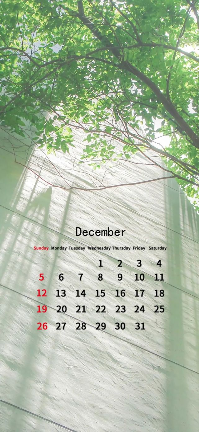请保持好心情十二月正在派件2021年12月1日18:19文艺情头