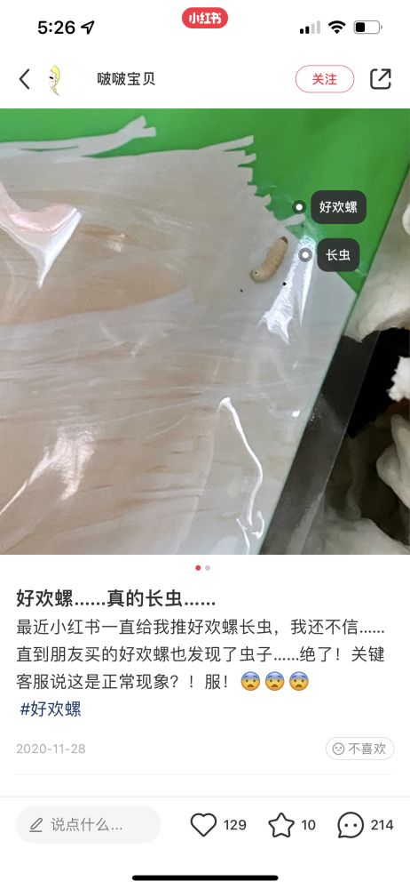 好欢螺吃出虫卵图片图片