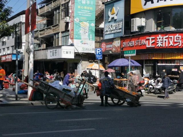 遂川,对不起!请原谅我!