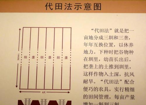 离那个"民则人给家足,都鄙廪庾皆满"的西汉盛世才过了不到50年的时间