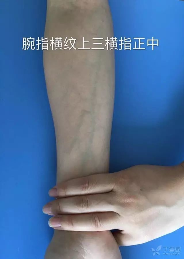 学》教科书仔细查看,发现上面只说皮试过敏实验常选用前臂掌侧下段,因