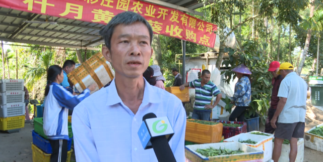 响水镇什月村委会什在二村小组组长 黄雄伟"今年9月份公司发苗到10