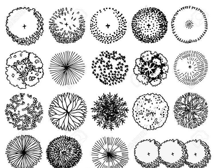 风景园林手绘中的植物平面图素材