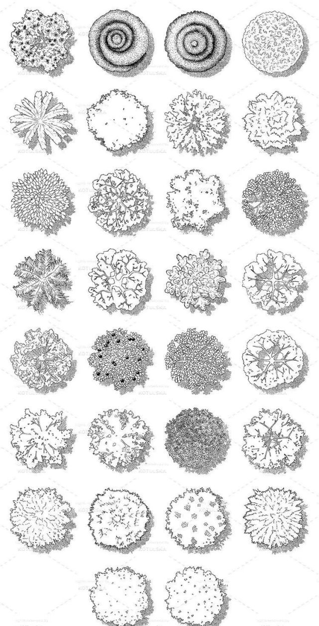 風景園林手繪中的植物平面圖素材