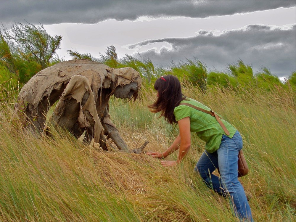 沼泽地的奇怪生物是什么?在沼泽中,被发现的5种可怕事物