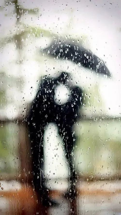 我在风雨中等你文碑林路人主播志玲