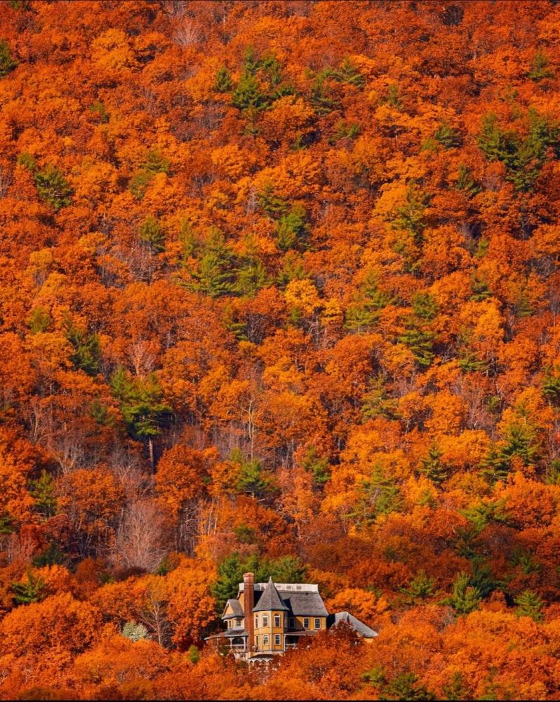 屋外,世外桃源般的美景!