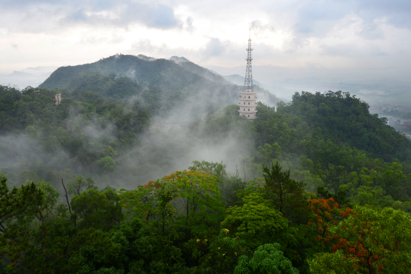 鳌峰山森林公园何焕华 摄