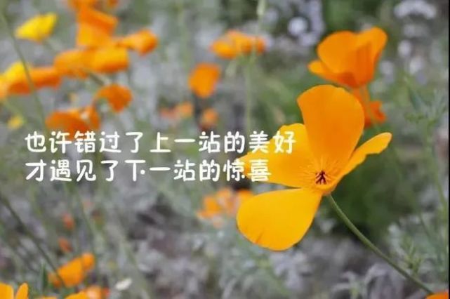 适合发朋友圈的说说心情哲理短语总有一句符合你的心情