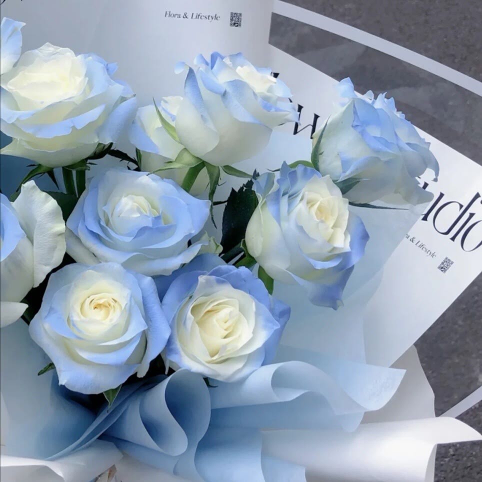 玫瑰壁纸把玫瑰藏于盛夏把海棠藏于深秋