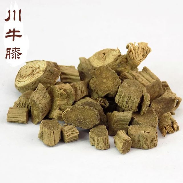 川牛膝的功效與作用川牛膝的禁忌人群有哪些