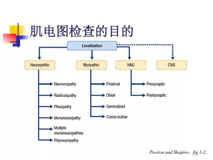 臨床筆記|一文讀懂:肌電圖的機制和應用基礎