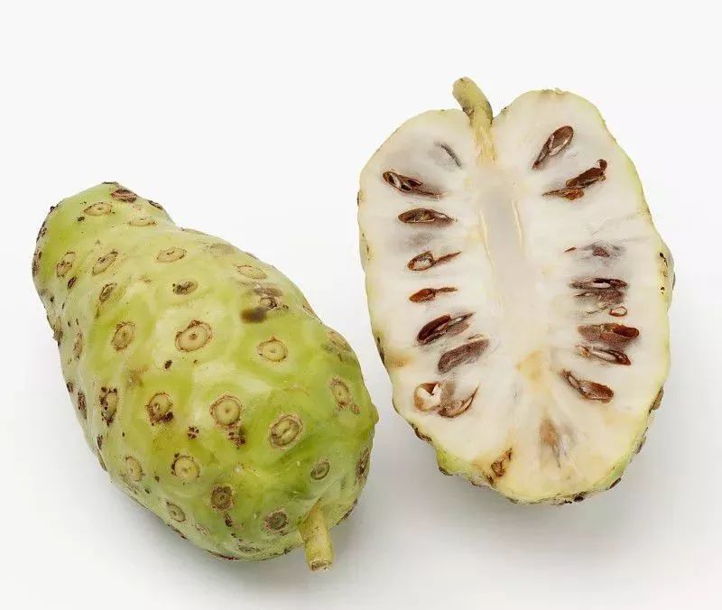 诺丽果的三大怪你知道吗