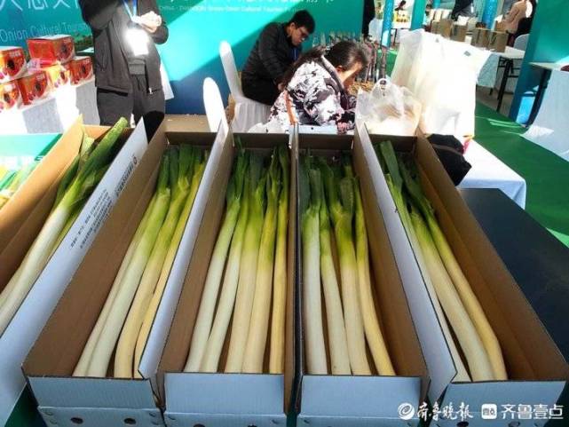 章丘大葱深加工用上高科技