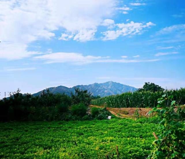 龙口文学|龙口西周时期的莱国