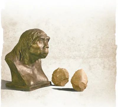 纪念第一个北京猿人头盖骨化石出土