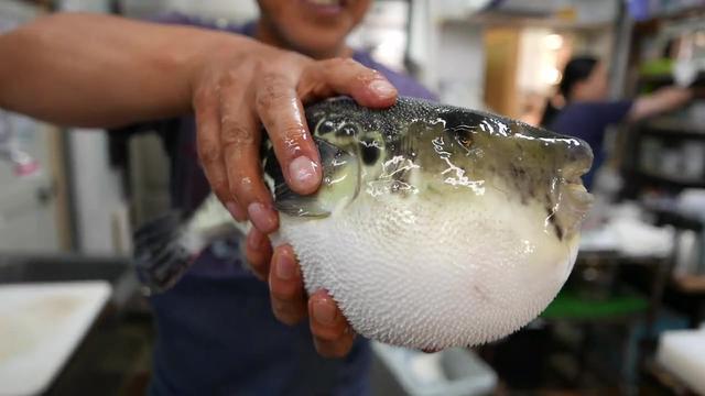 浙江台州某公职人员隐婚网购河豚毒素杀妻骗保_腾讯新闻