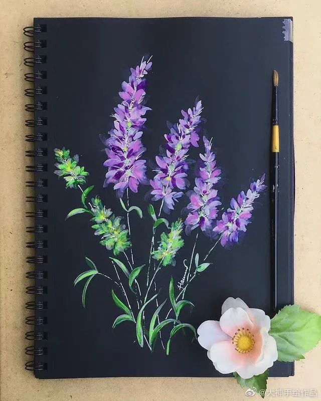 不透明水彩|黑卡纸别扔,画出来很美!