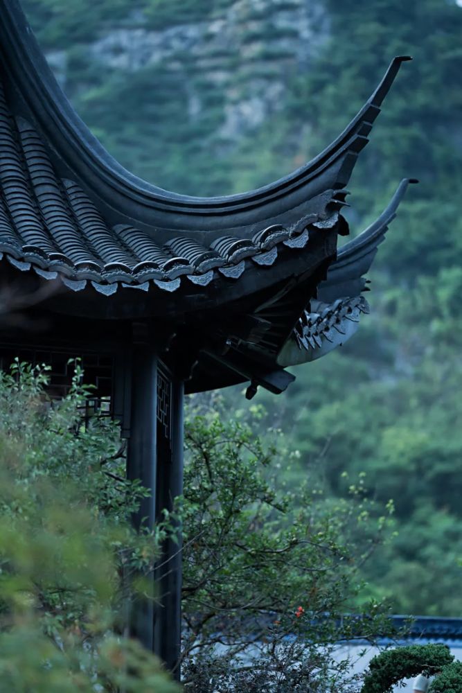 示意图邻里之间,宽阔的距离,透过古色古香的墙楼,碧绿垂动的竹枝的