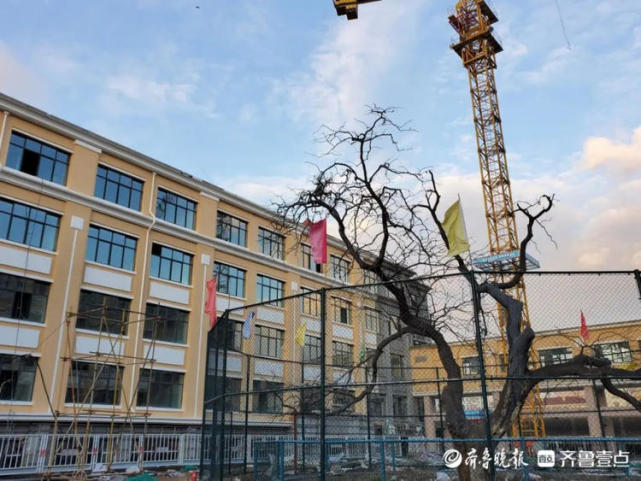 改扩建后的青岛三中全面升级,明年9月启用