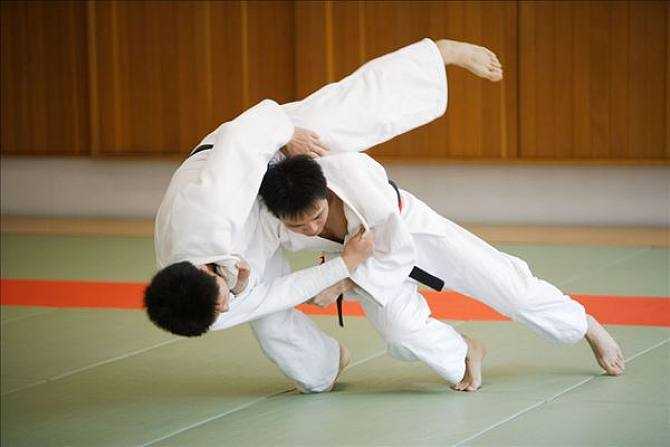 柔道柔道是由日本古代柔术演变发展而来