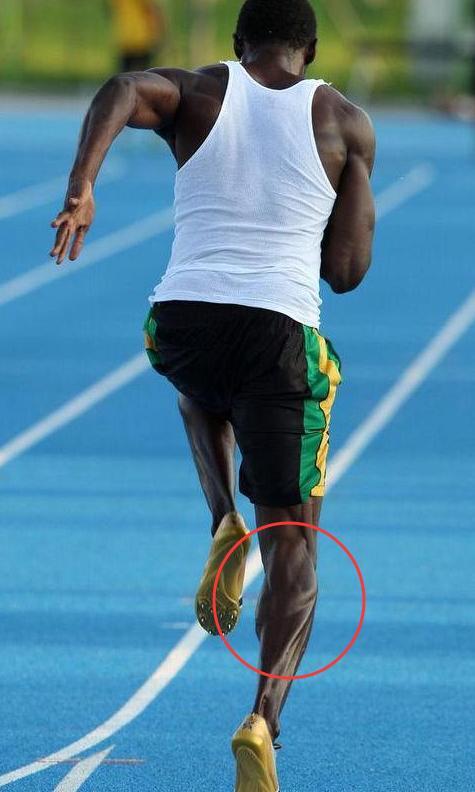 世界体坛非人类肌肉泰森的脖子奥尼尔的膝盖博尔特的小腿