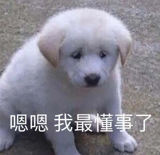 沙雕表情包那我可就要努力了