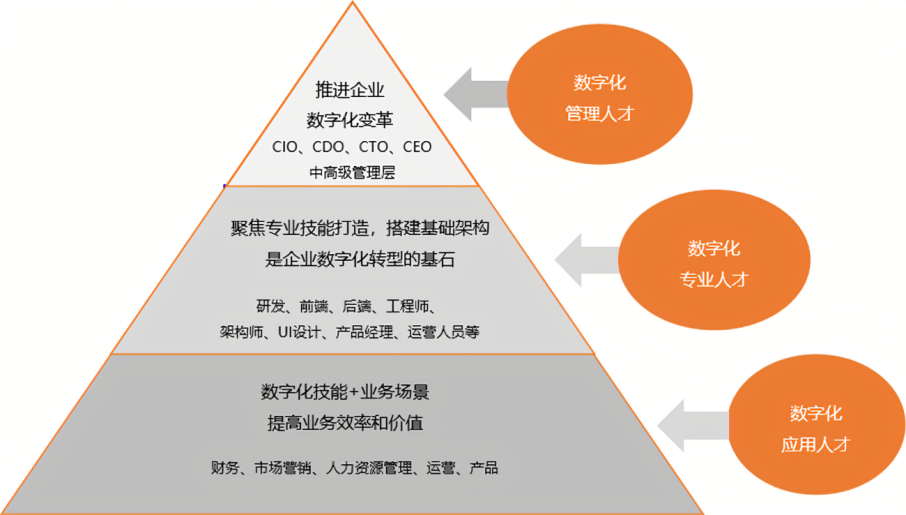 数字洞见数字化人才培育是企业转型发展的关键引擎