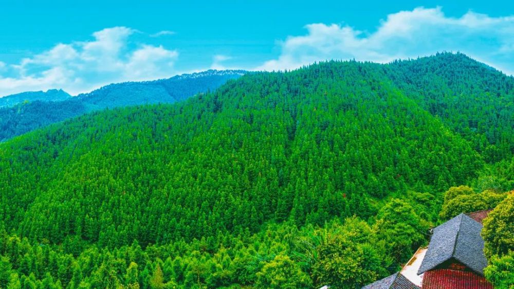 青山绿水围绕的义龙新区科汪古寨 资料图