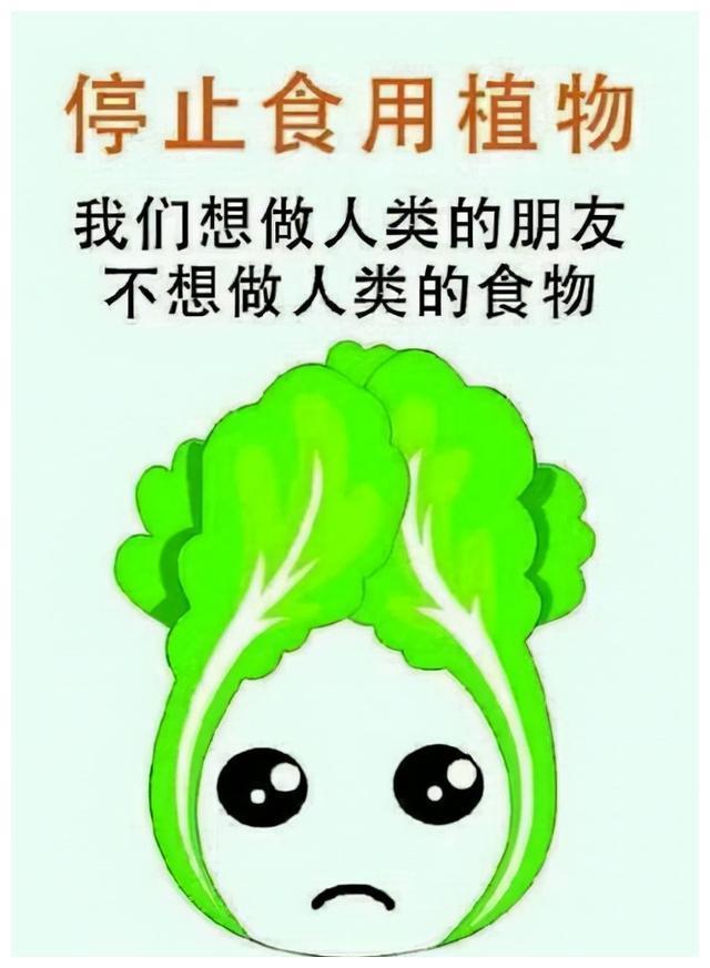 张静初 陶虹 舒淇倡导吃素遭网友嘲讽,对此事你怎么看?