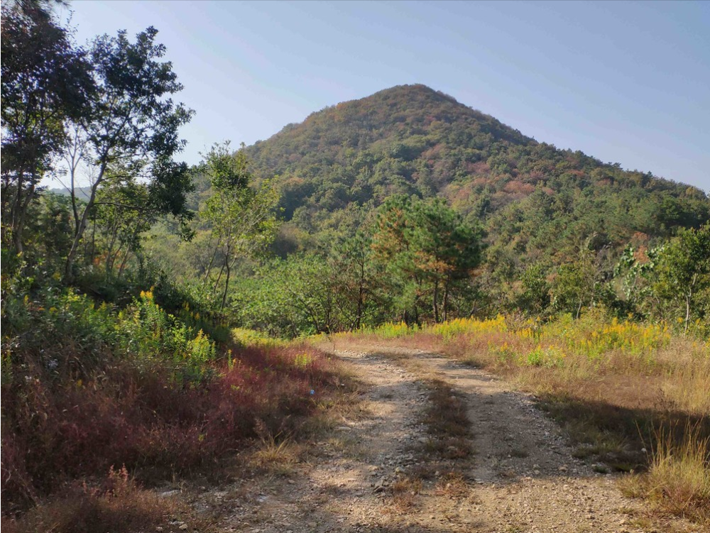 217團到底在青龍山遭遇了什麼?至今下落不明