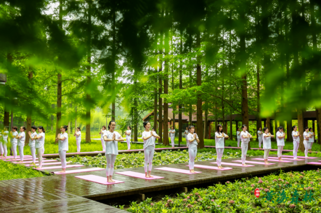 湿地观光,生态度假,养生康体,运动健身,商务会展等休闲度假产品,康养